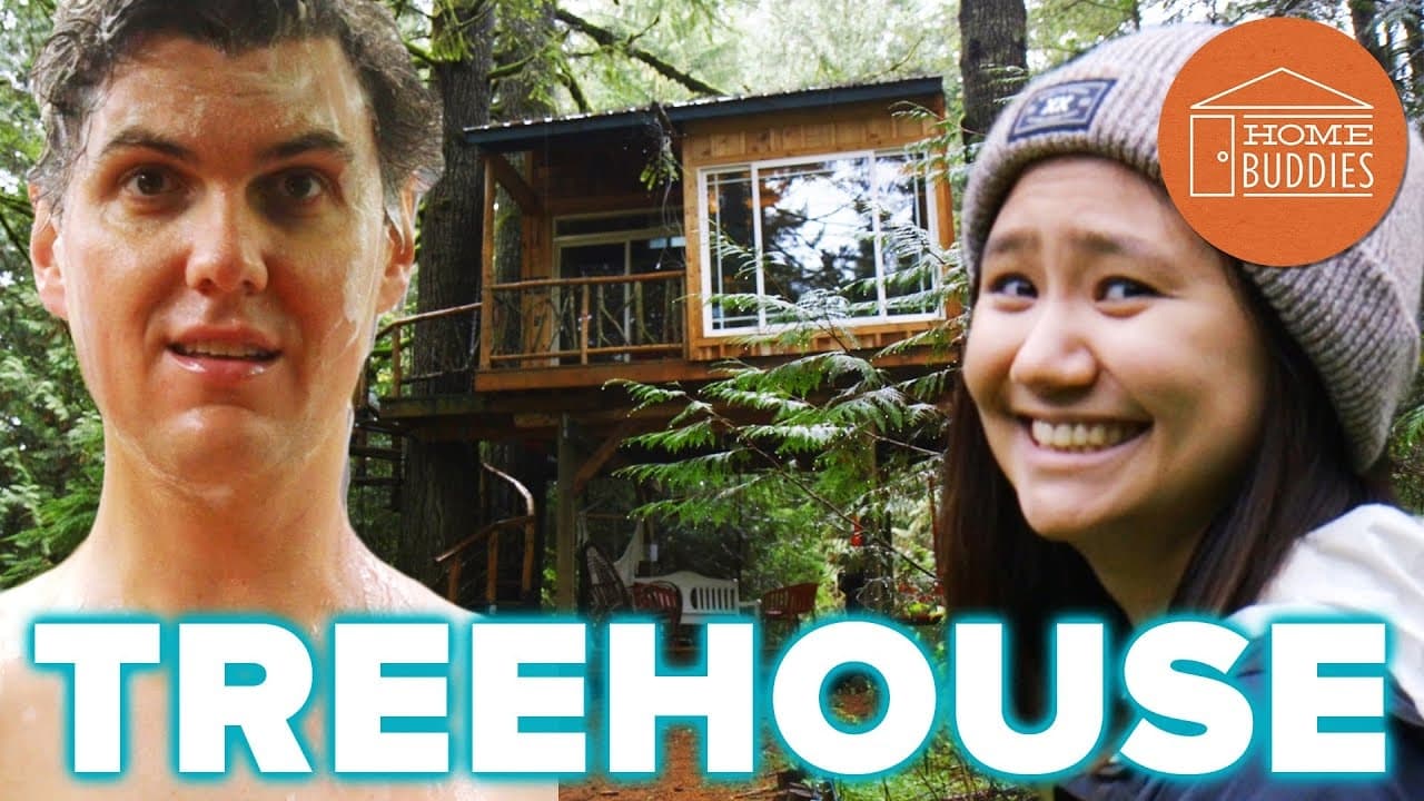 We Lived In A Treehouse