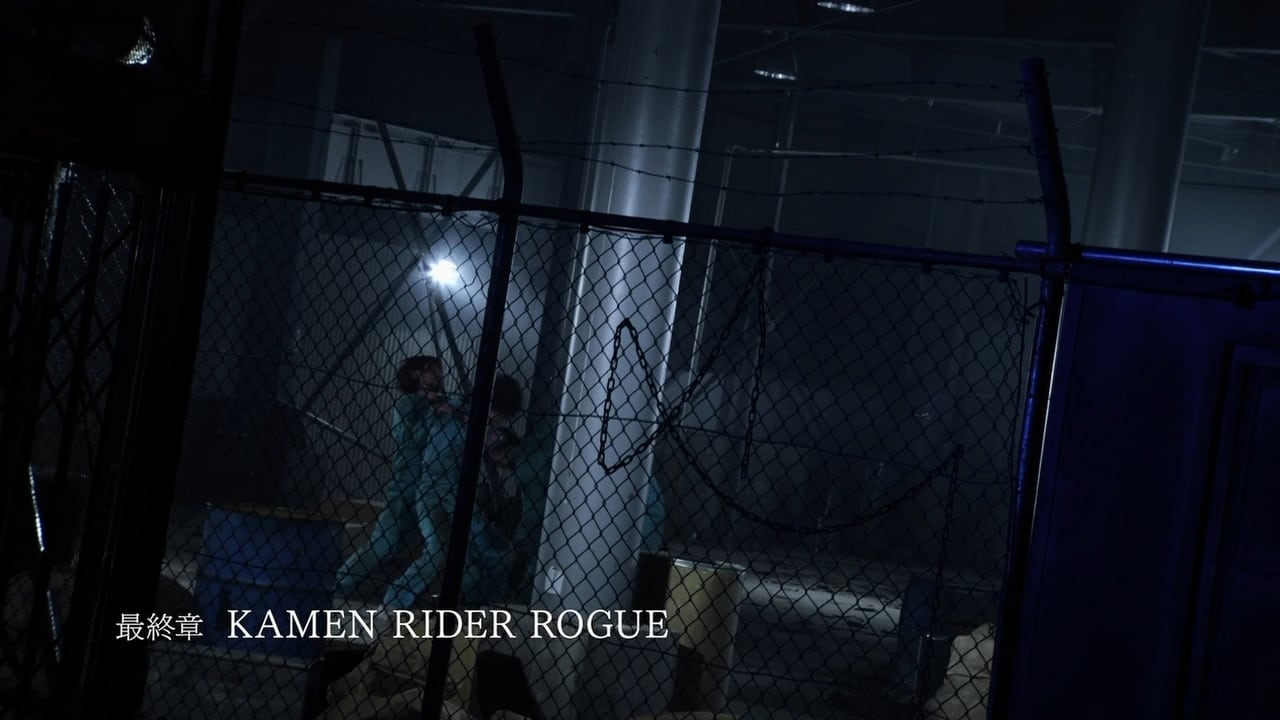 Final Chapter KAMEN RIDER ROGUE