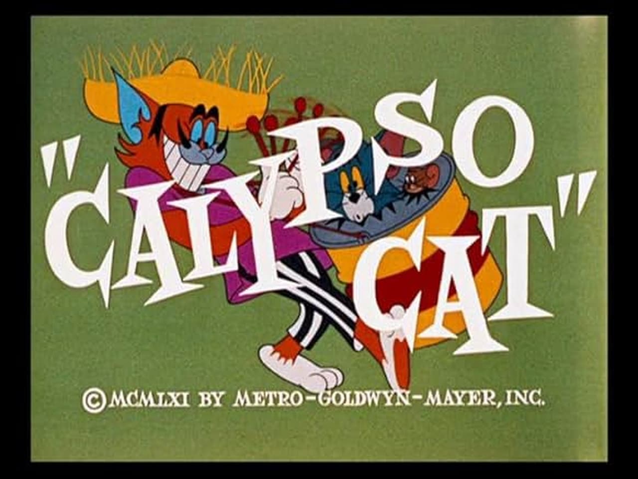 Calypso Cat