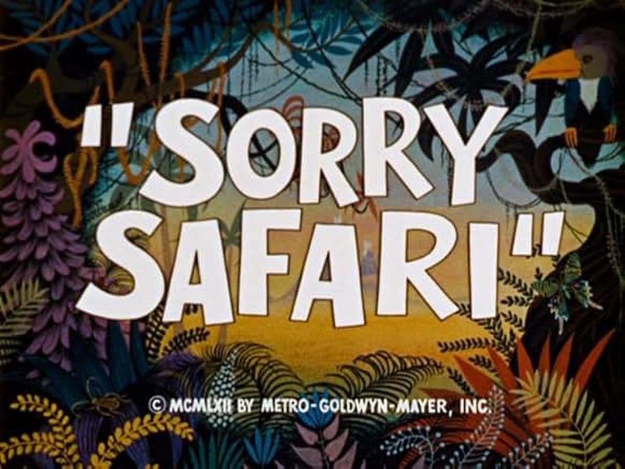 Sorry Safari