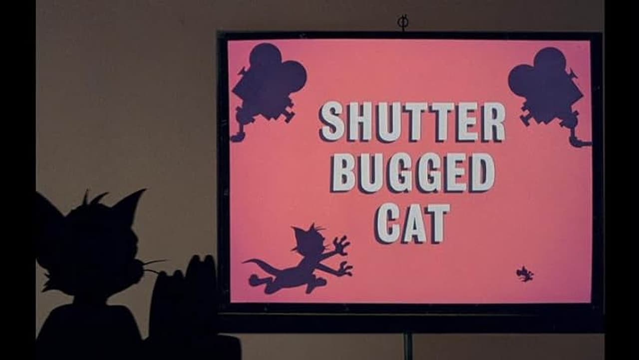 Shutter Bugged Cat