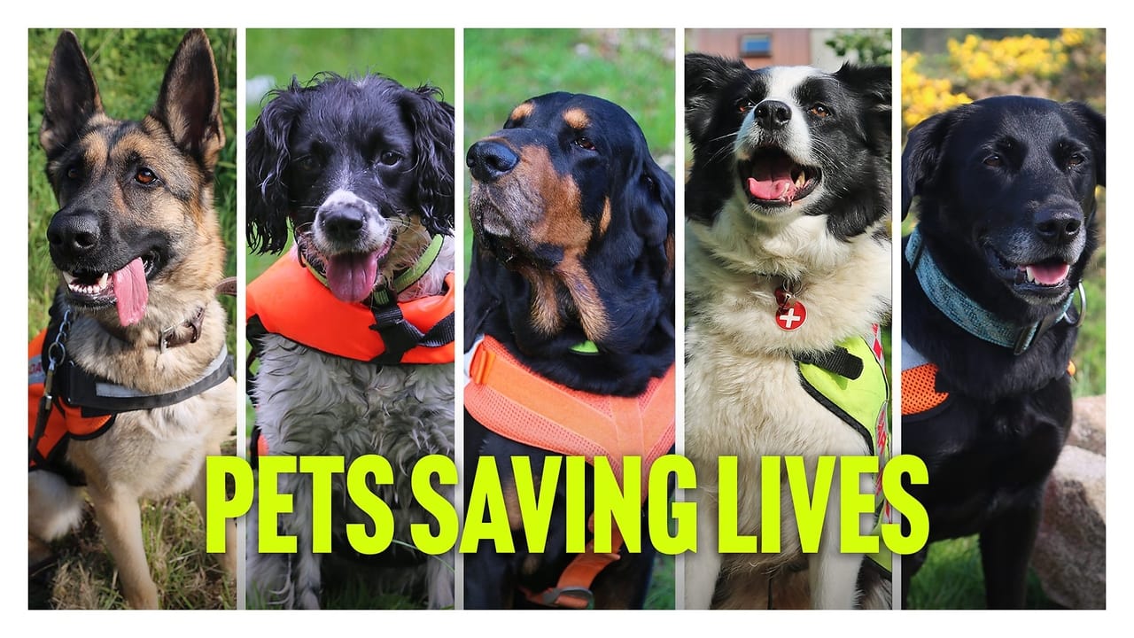 Pets Saving Lives