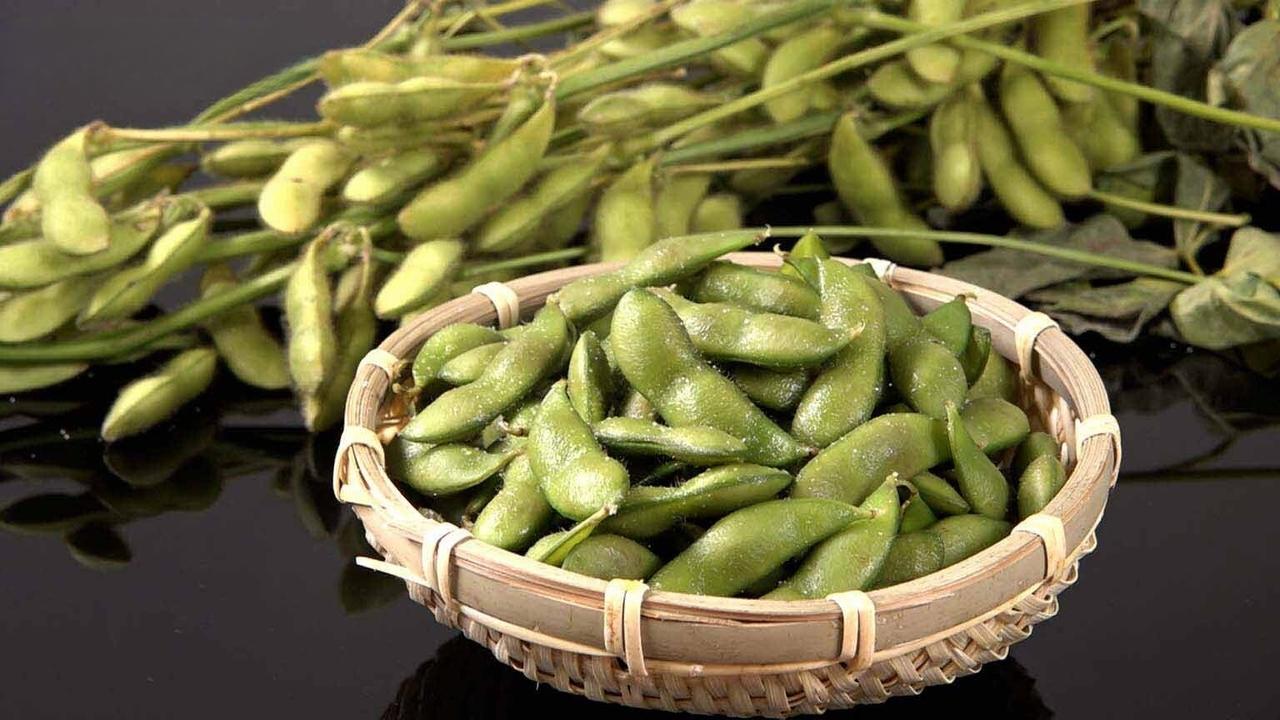 EDAMAME