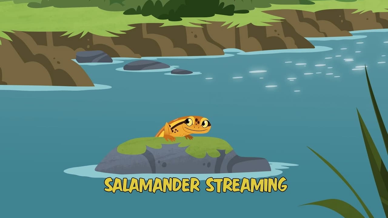 Salamander Streaming