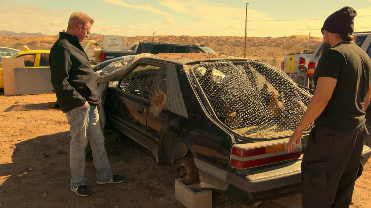 Fox Body in the Henhouse