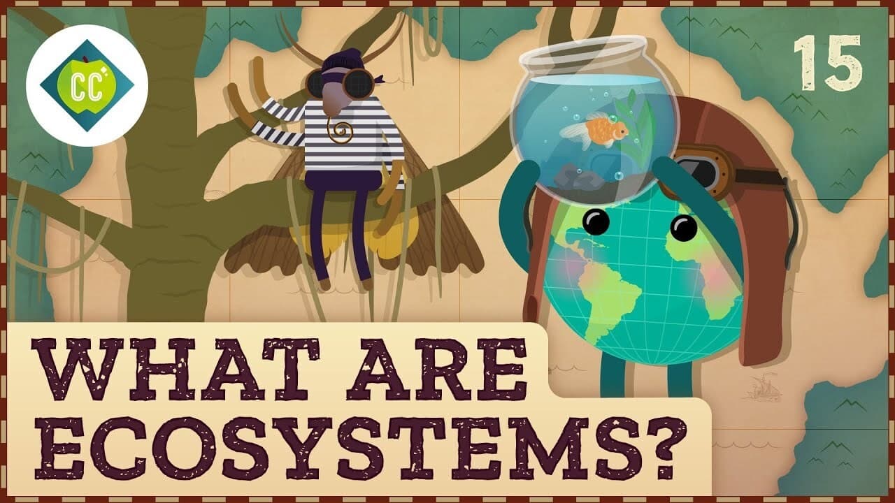 What Are Ecosystems