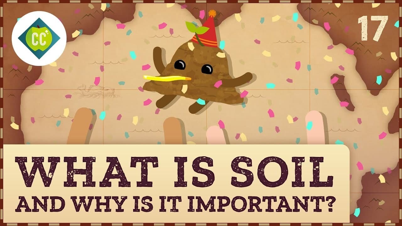 What is Soil and Why is it Important