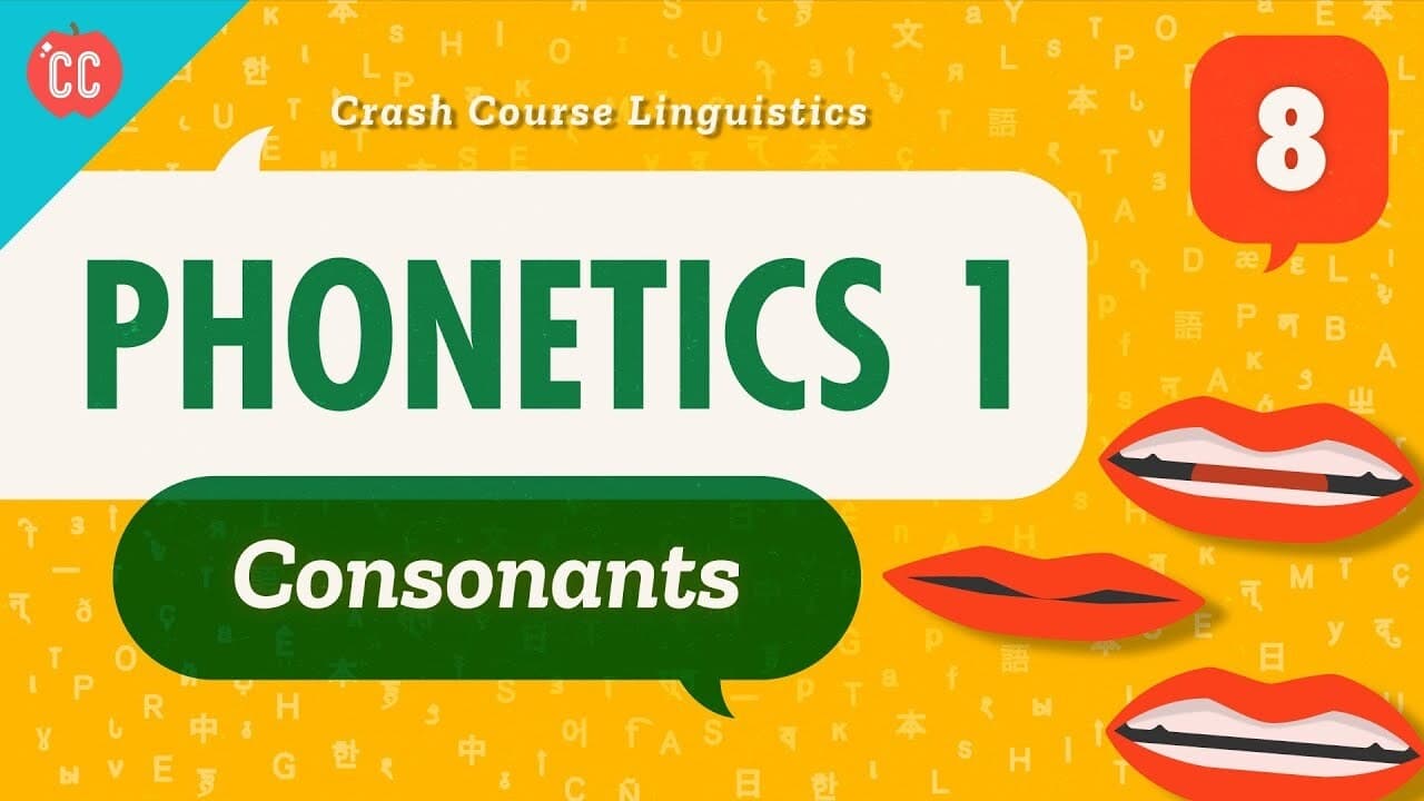 Phonetics 1  Consonants