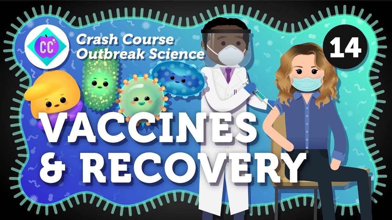 How do Outbreaks End Vaccines and Recovery