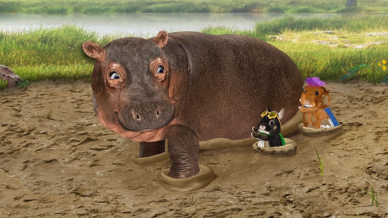 Save the Hedgehog  Save the Hippo