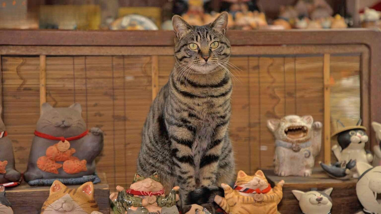 Aichi A Cat Temple and Ceramics