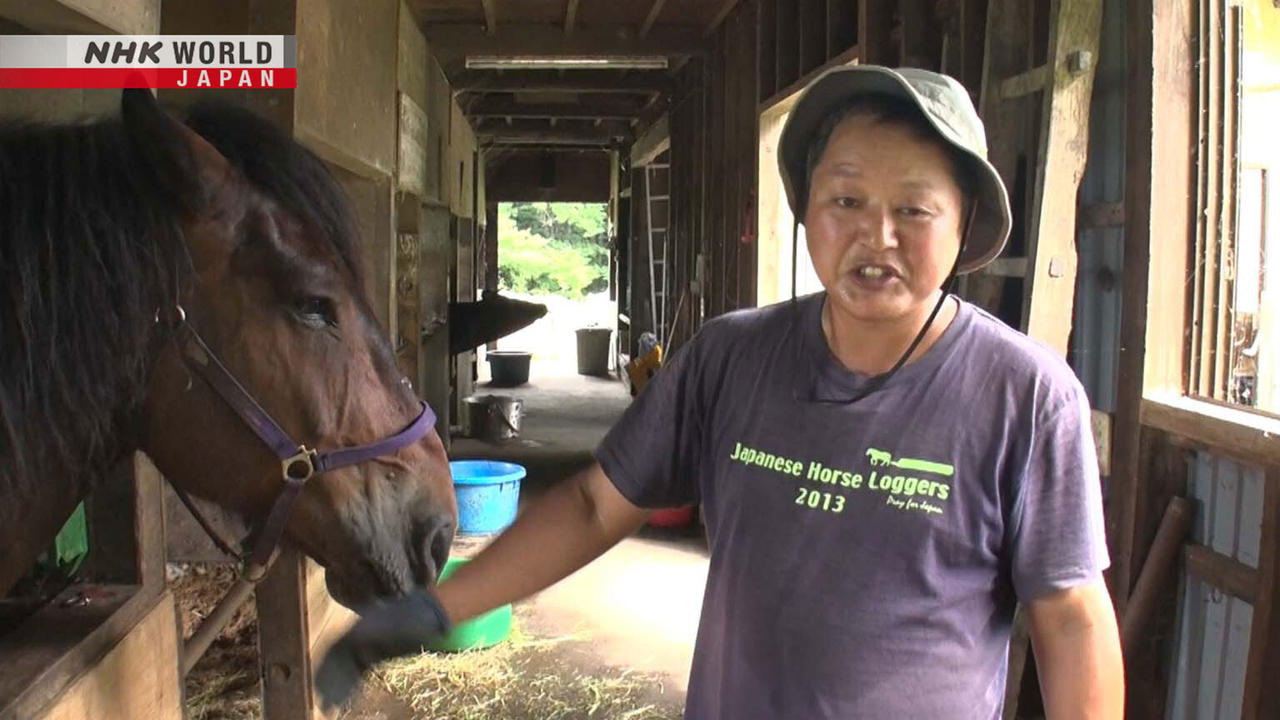 HorsePowered Energy Innovator  Iwama Takashi