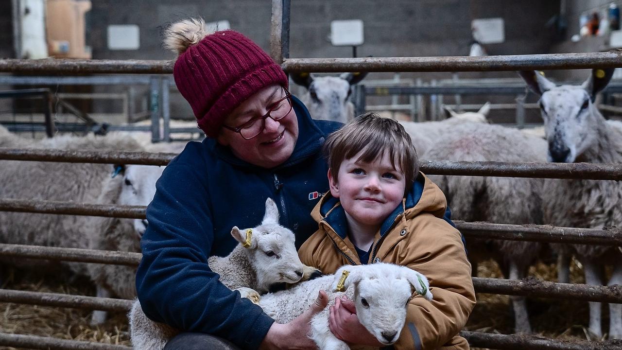 Lambs Crops and Chicken Pox