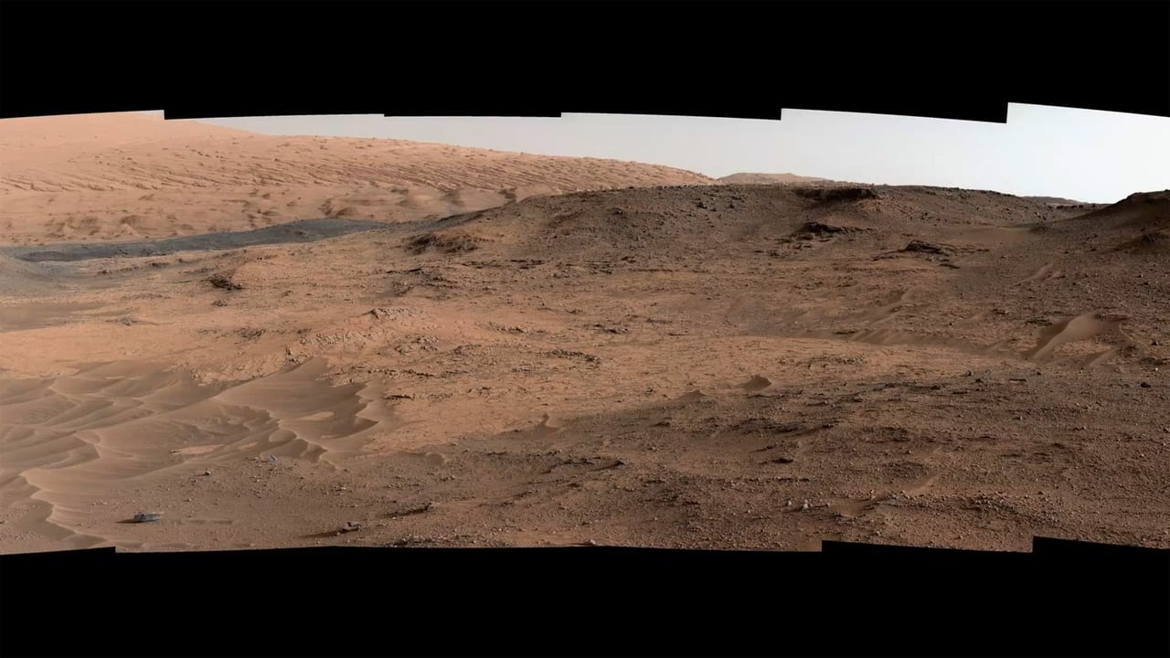 Finding Life on Mars