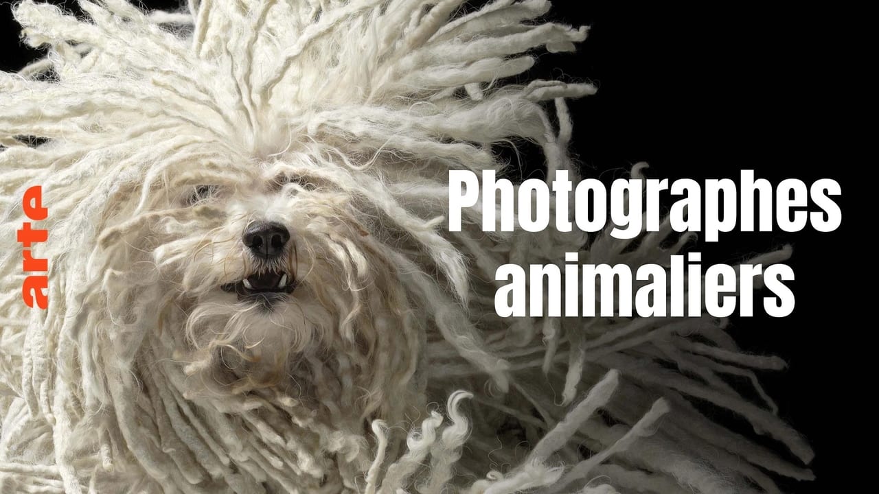 Tim Flach