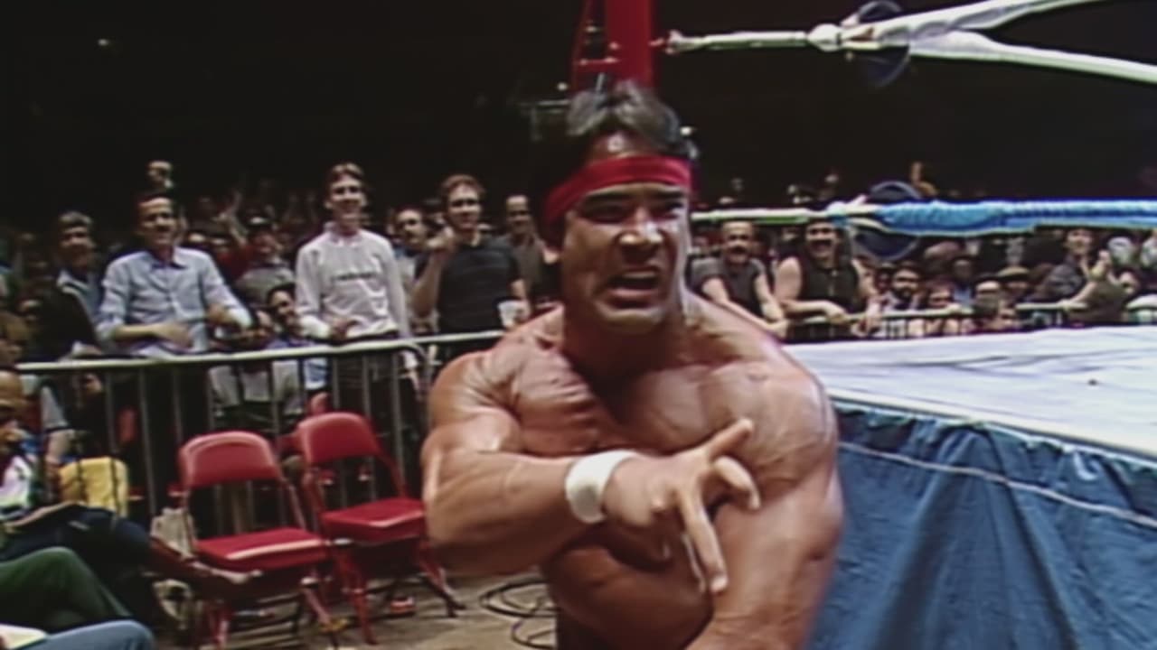 Ricky The Dragon Steamboat