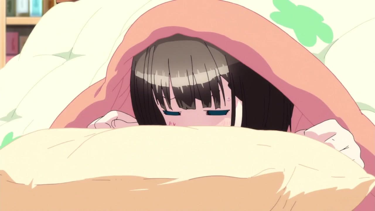 The Sleepinducing Kotatsu