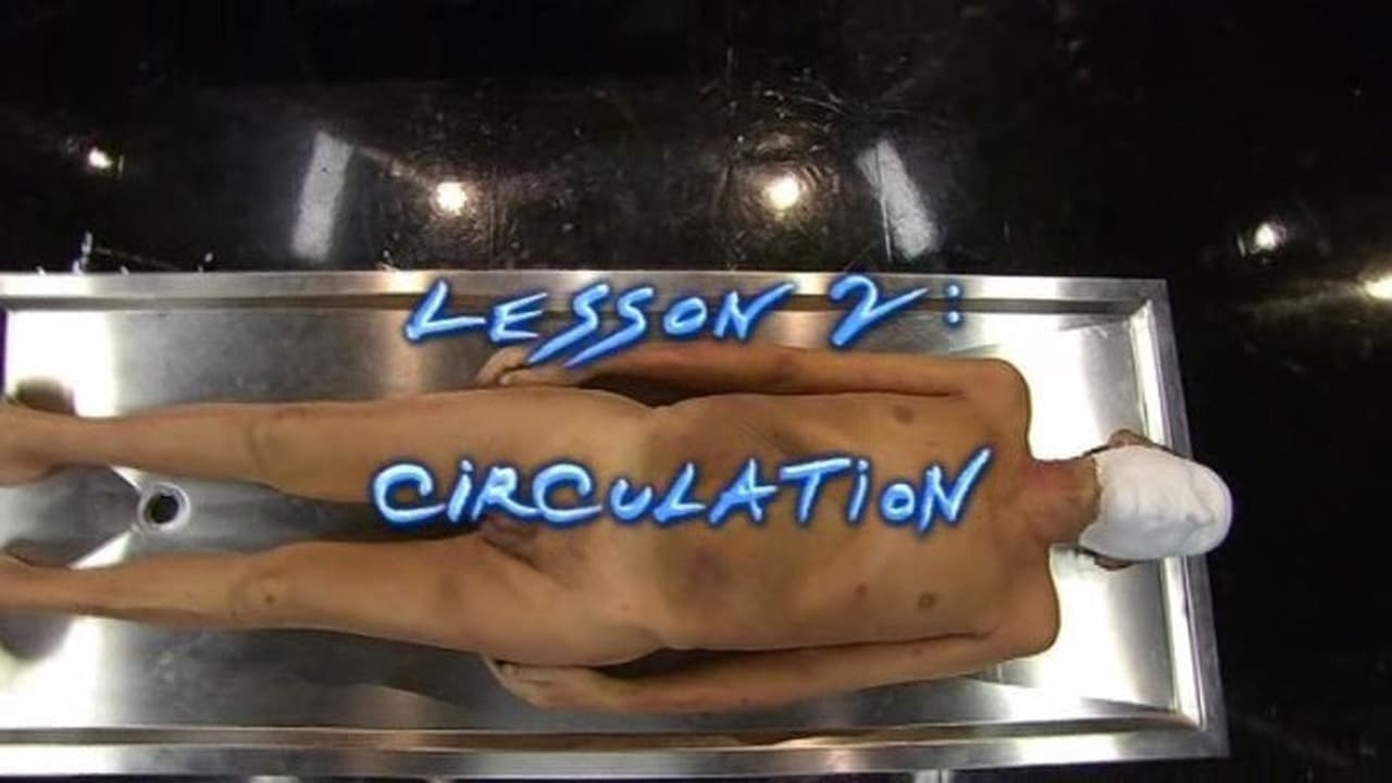 Circulation