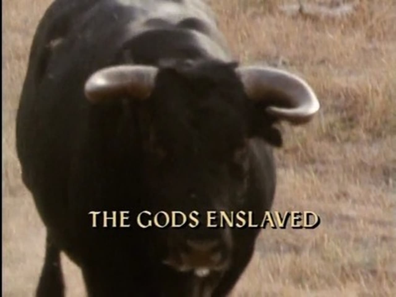 The Gods Enslaved