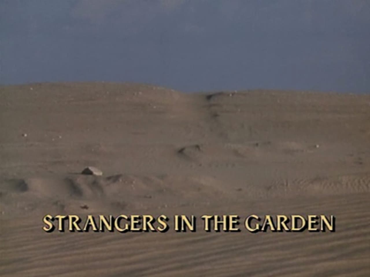 Strangers in the Garden