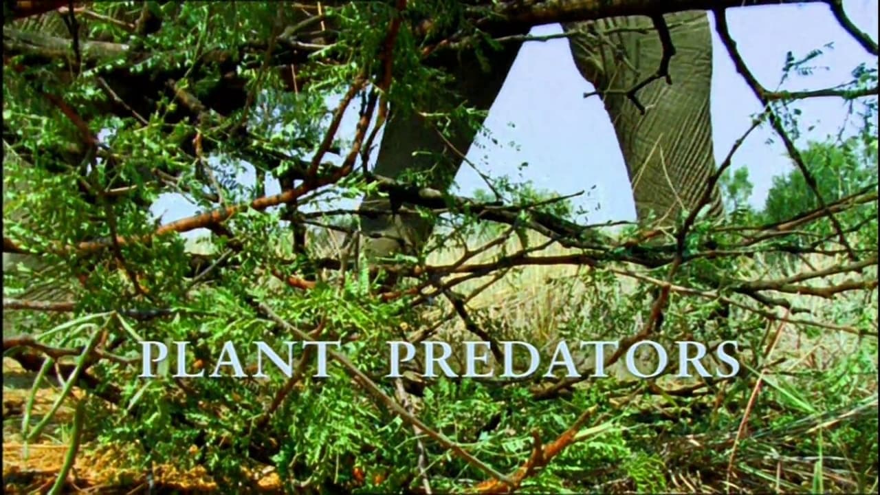 Plant Predators