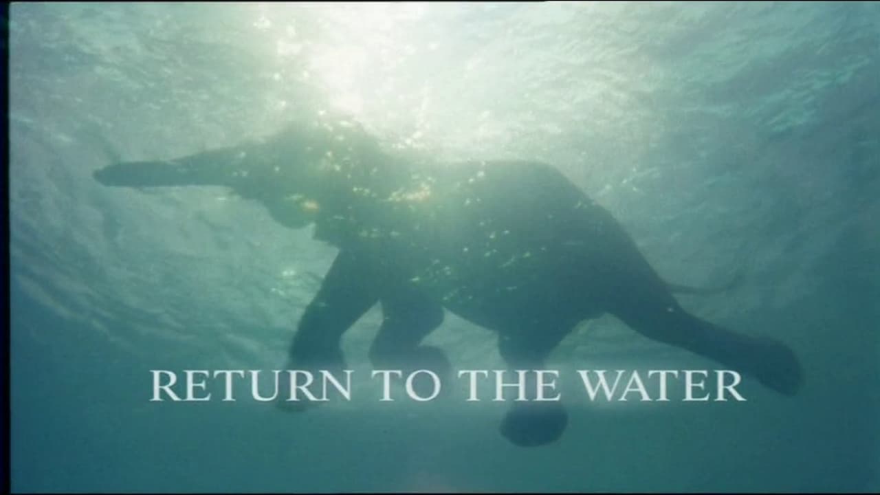 Return to the Water