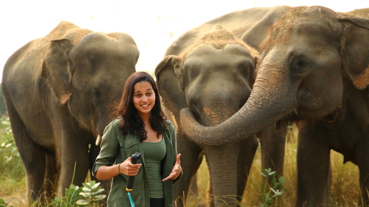 Malaika and the Elephants