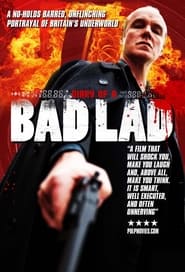 Diary of a Bad Lad' Poster