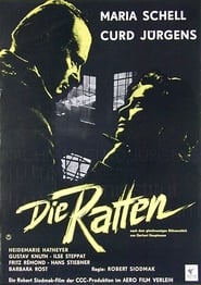 The Rats' Poster