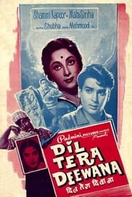 Dil Tera Diwana' Poster