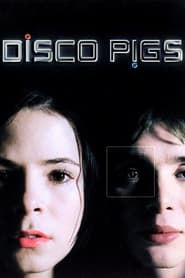 Disco Pigs' Poster