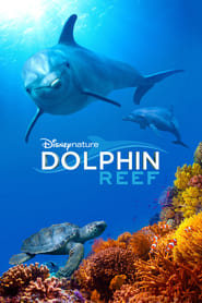 Streaming sources forDolphin Reef