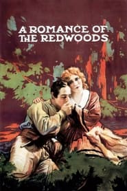A Romance of the Redwoods' Poster