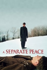 A Separate Peace' Poster