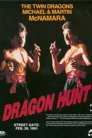 Dragon Hunt' Poster