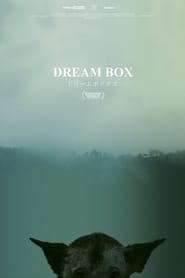 Dream Box' Poster