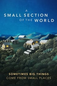 A Small Section of the World' Poster