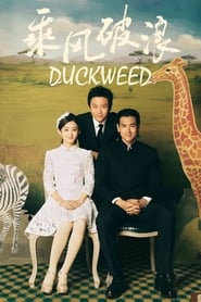 Duckweed' Poster