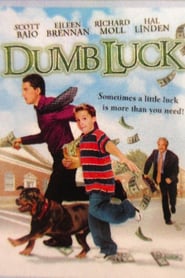 Dumb Luck' Poster