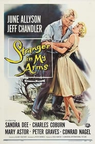 A Stranger in My Arms' Poster