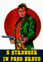 A Stranger in Paso Bravo' Poster