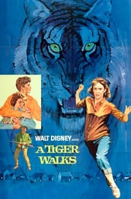 A Tiger Walks' Poster