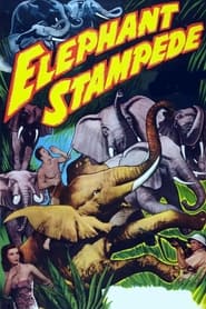 Elephant Stampede' Poster