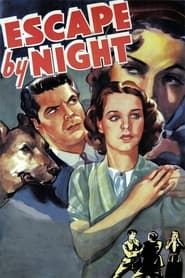 Escape by Night' Poster