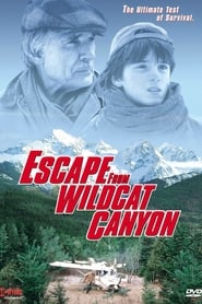 Escape from Wildcat Canyon' Poster