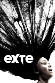 Exte Hair Extensions Poster