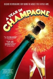 A Year in Champagne' Poster