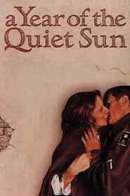 A Year of the Quiet Sun' Poster