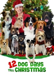 12 Dog Days Till Christmas' Poster