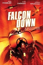 Falcon Down' Poster